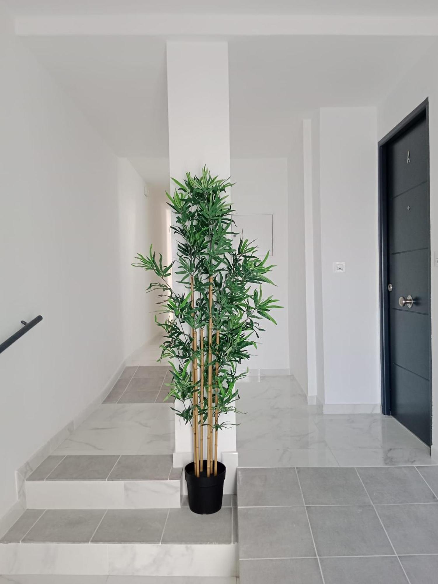 Apartamento Gloria Bendita Херес де ла Фронтера Екстериор снимка